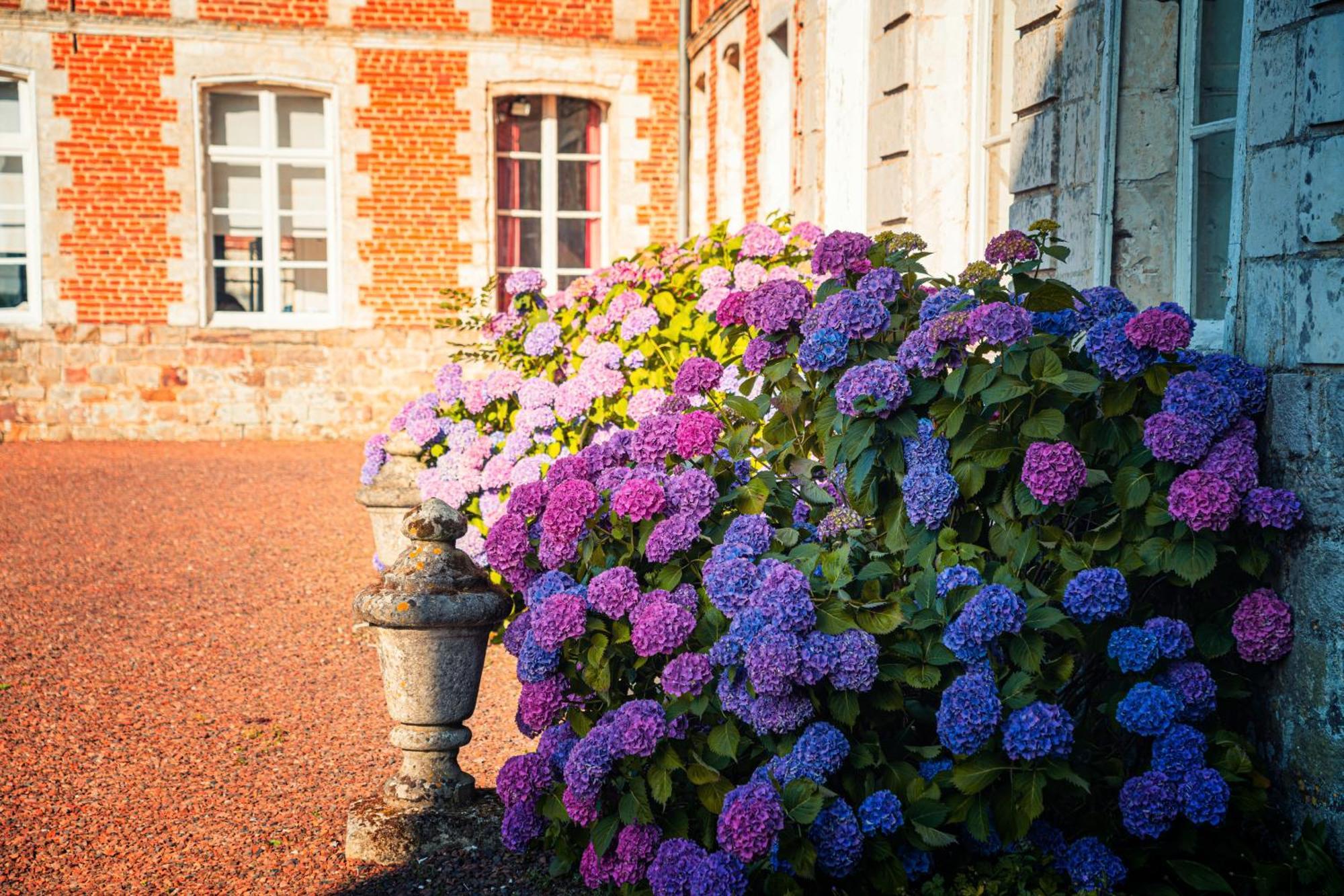 D'hotes & Du Chateau De *