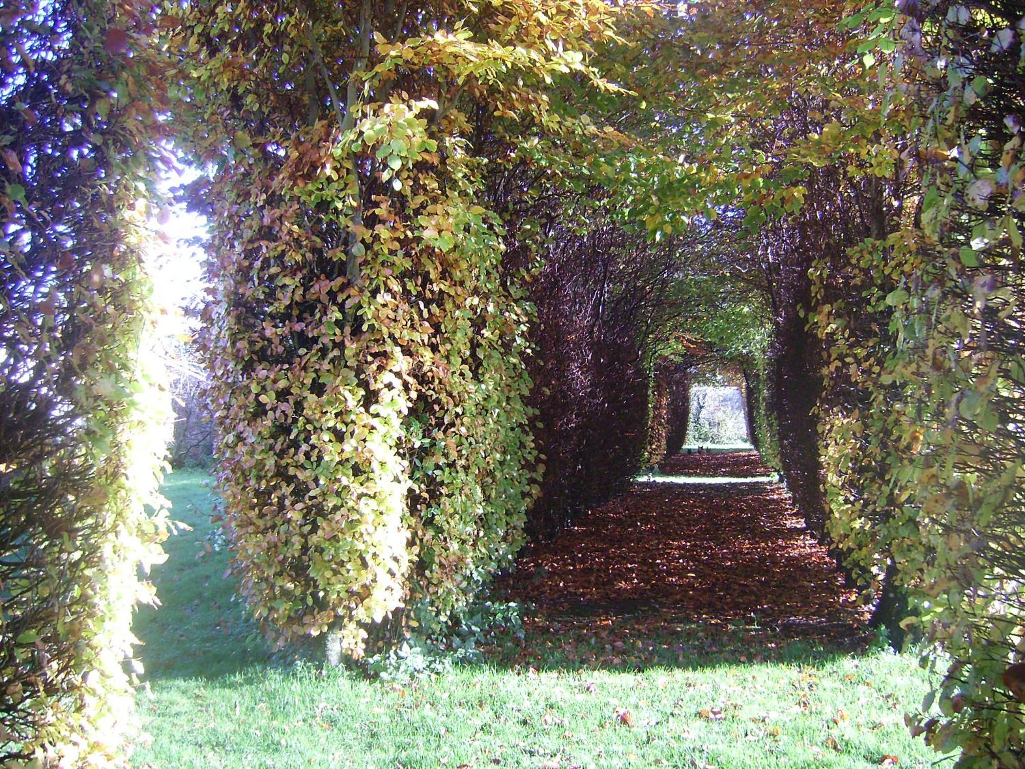 D'hotes & Du Chateau De * Grand Rullecourt